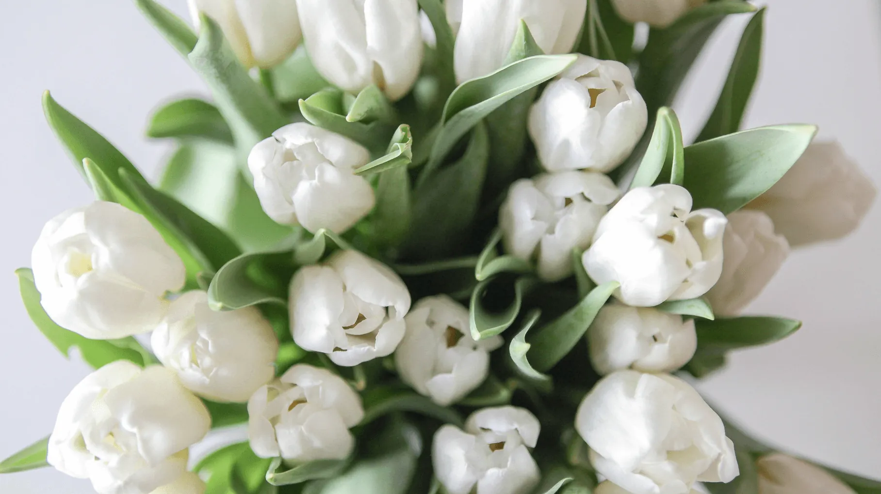 Bouquet da sposa con tulipani: ora disponibili in ogni stagione