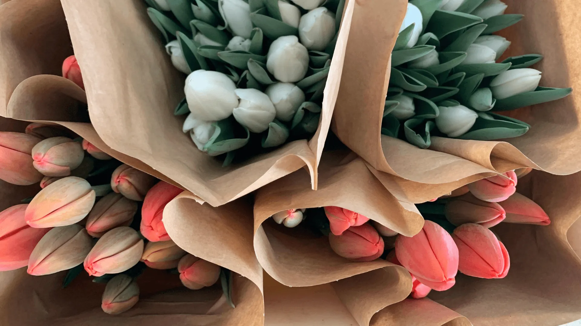 Qual è il fiore più elegante del mondo?
