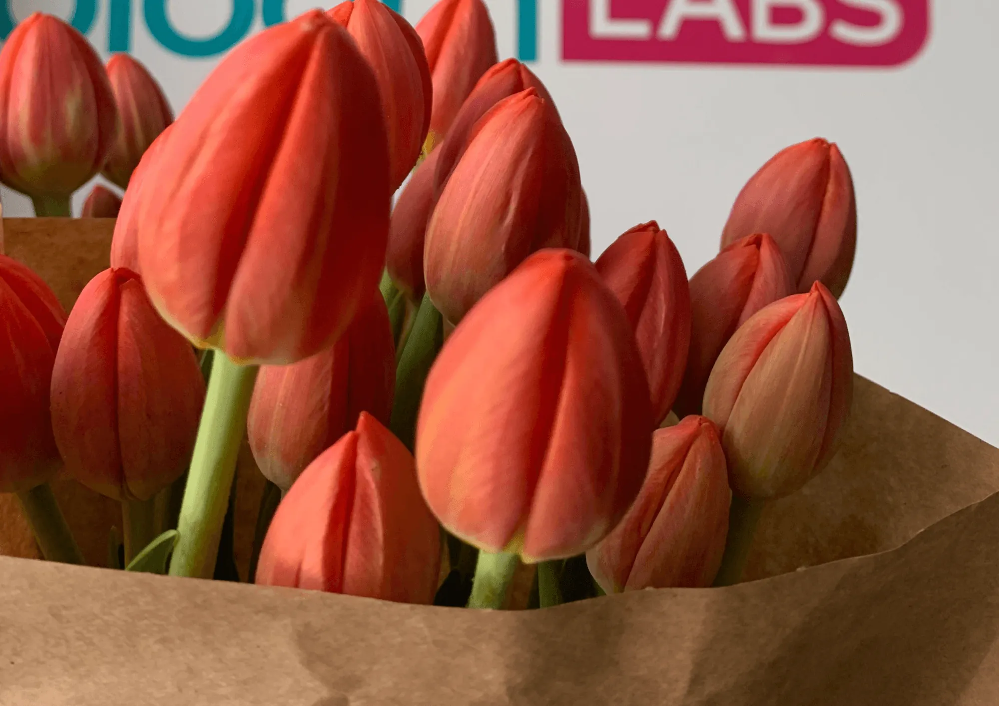 Servizi di fornitura per fiori con consegna diretta ai fioristi in Italia